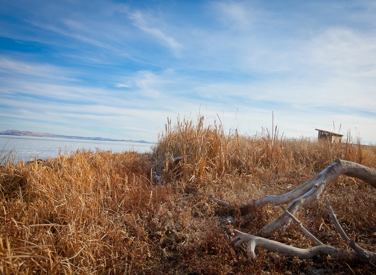 DK_Winter2011-260.jpg