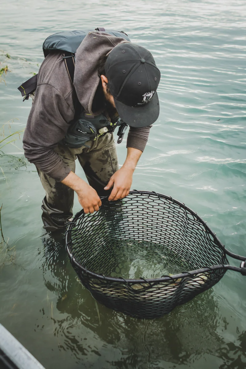 alaska-2018-113.jpg