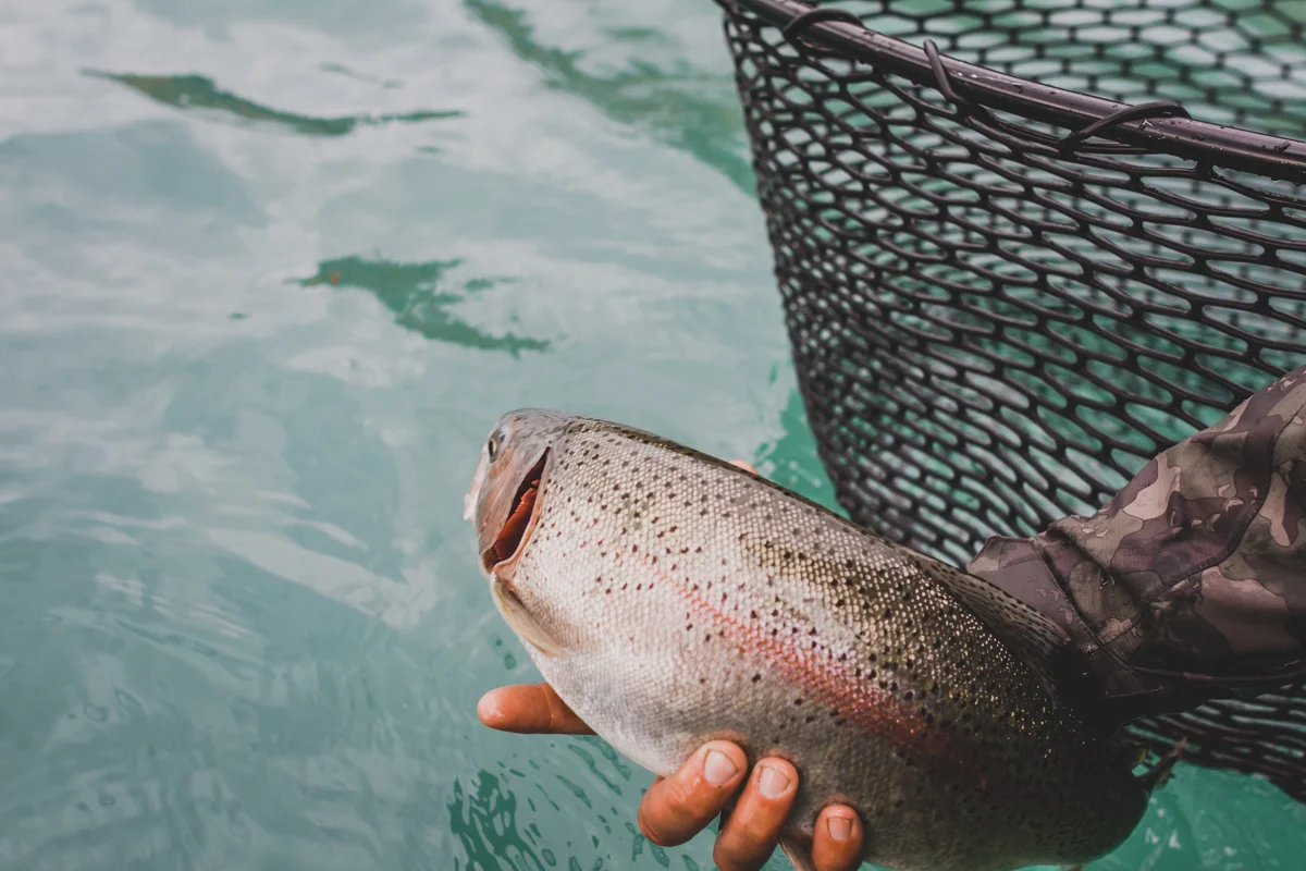 alaska-2018-217.jpg