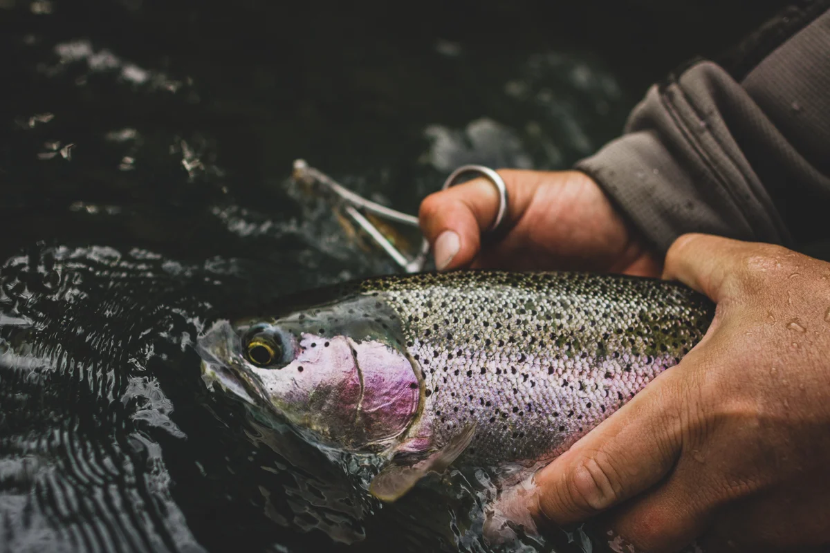 alaska-2018-384.jpg