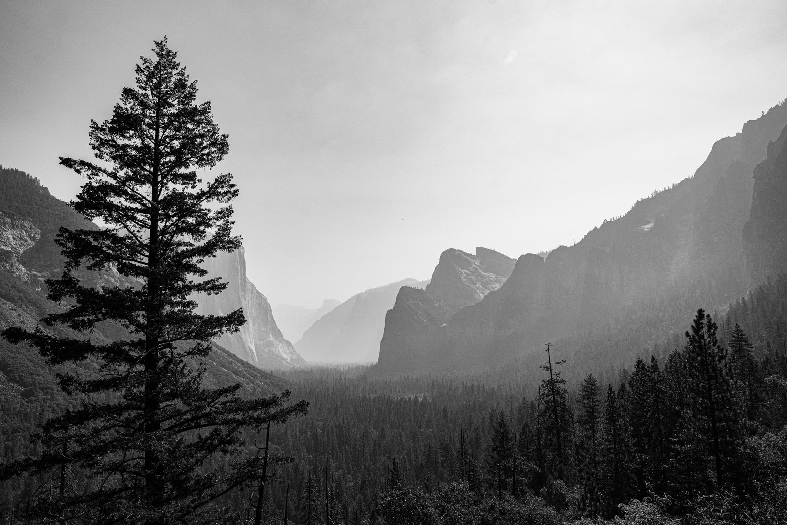 yosemite-2021-163.jpg