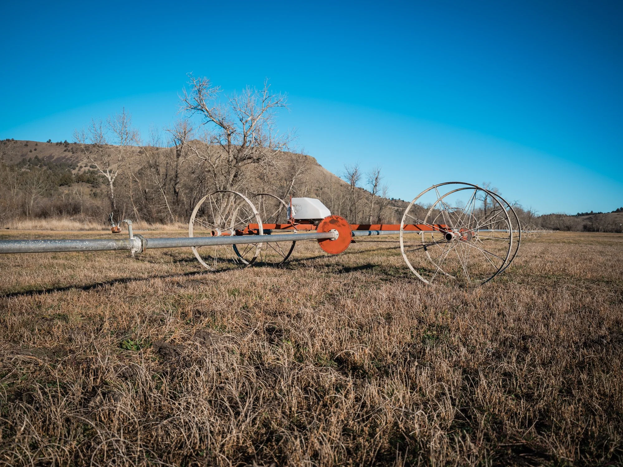 holmstrom-ranch-studioabsolute-570.jpg