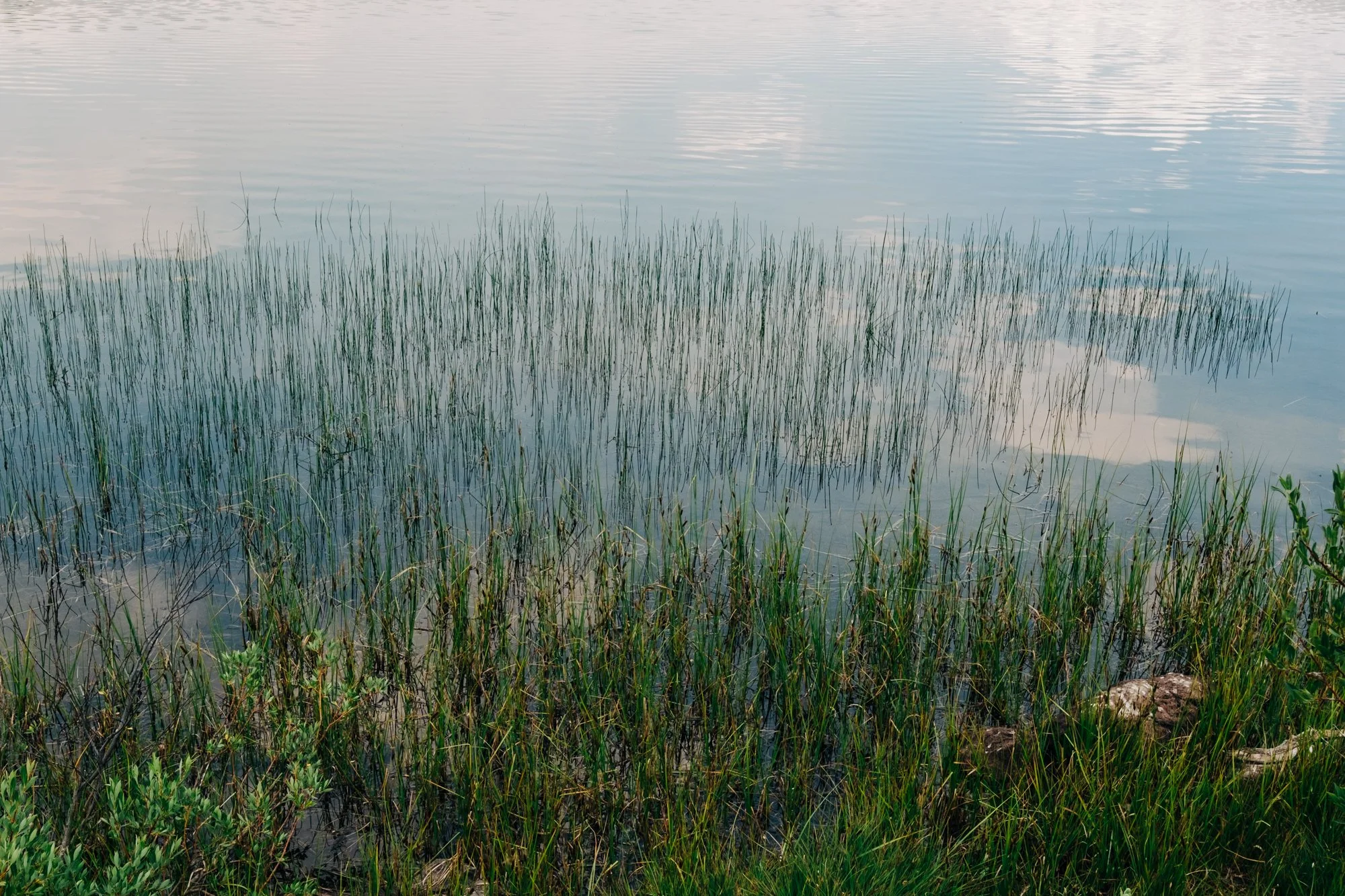 steens-2026-12.jpg