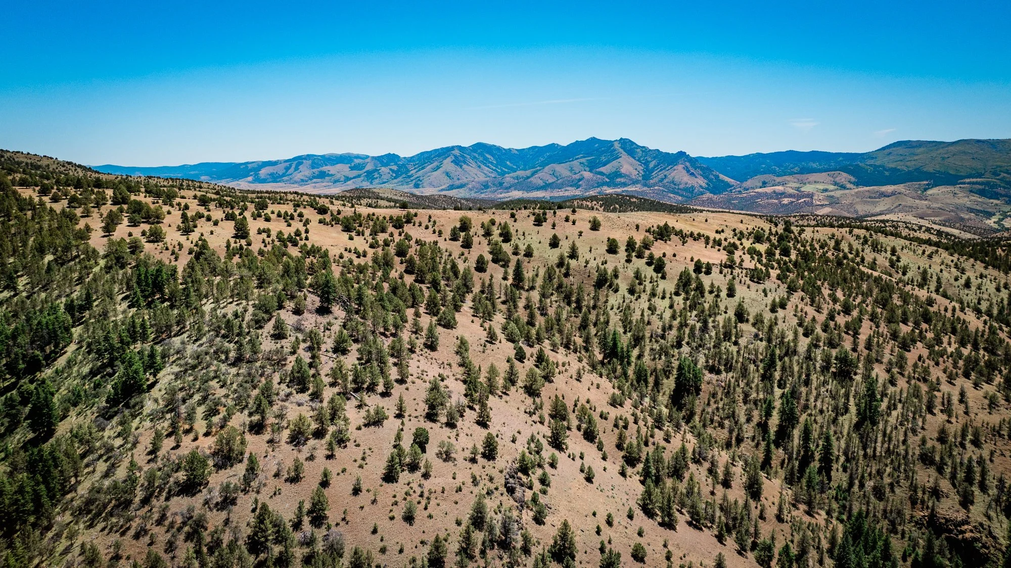 hale-ranches-drone-stills-060426-907.jpg