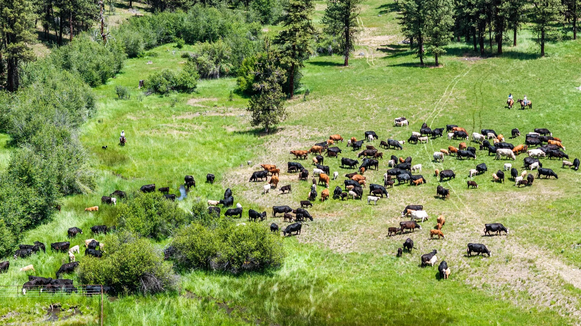 sproul-ranch-drone-403.jpg