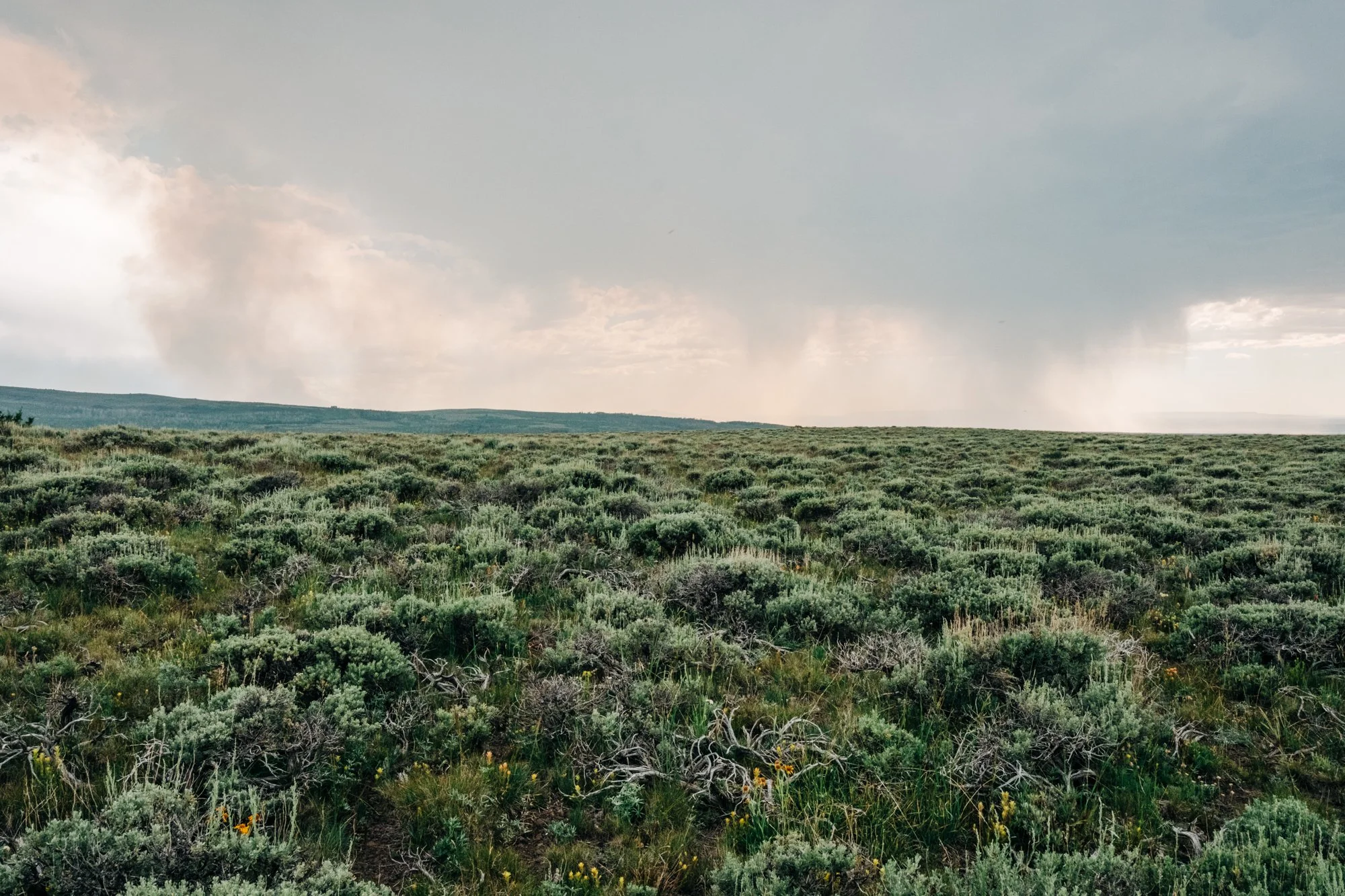 steens-2026-53.jpg