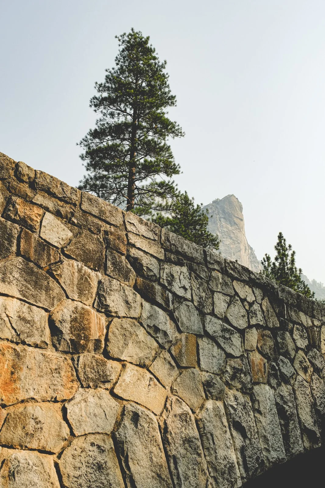 yosemite-2021-12.jpg