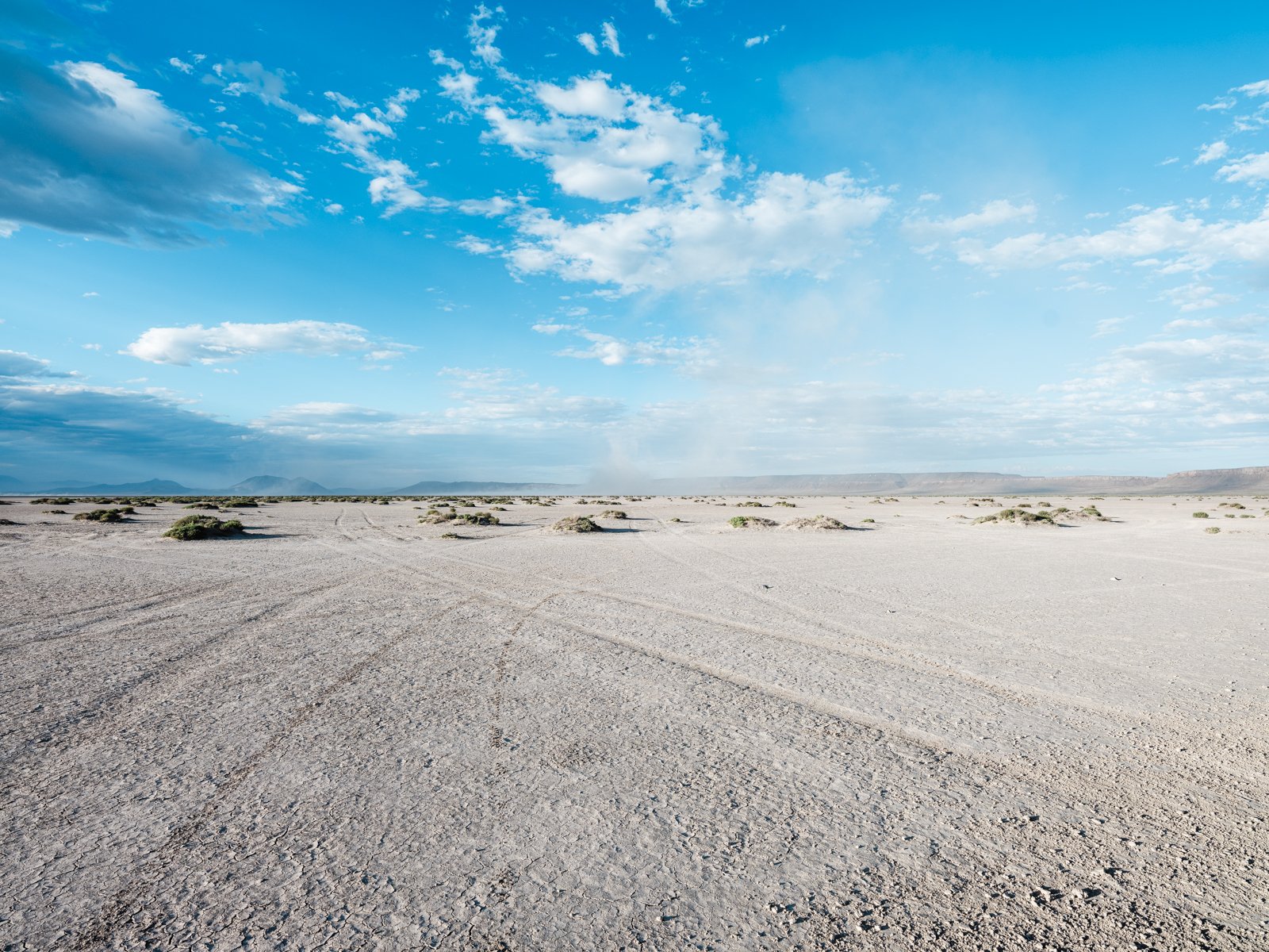 steens-gfx50sii-2024-62.jpg