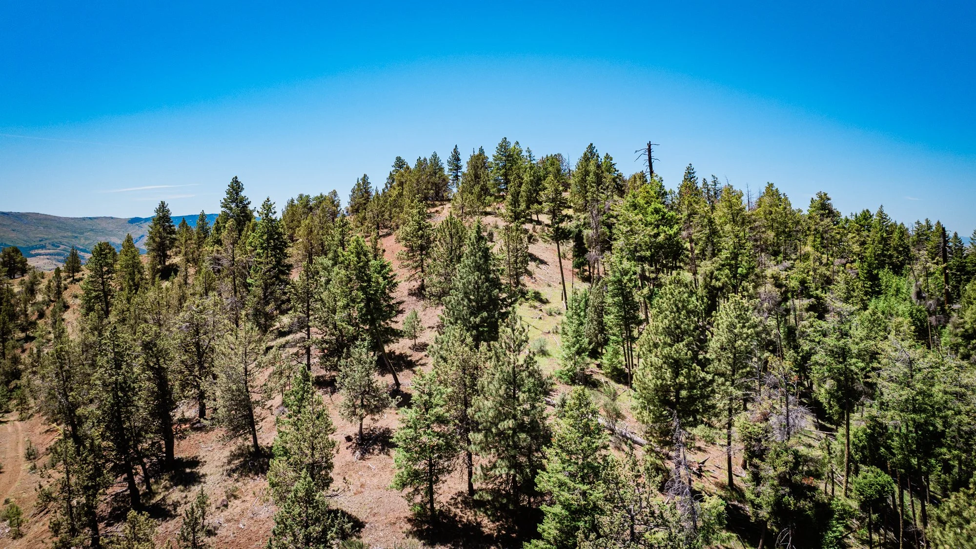 hale-ranches-drone-stills-060426-906.jpg