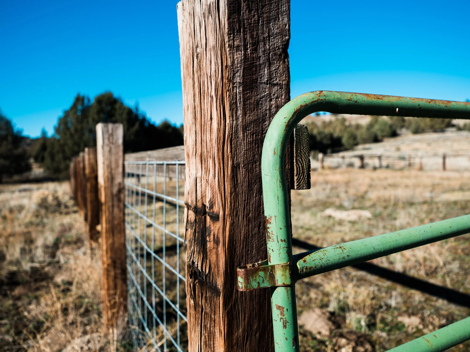 holmstrom-ranch-studioabsolute-535.jpg