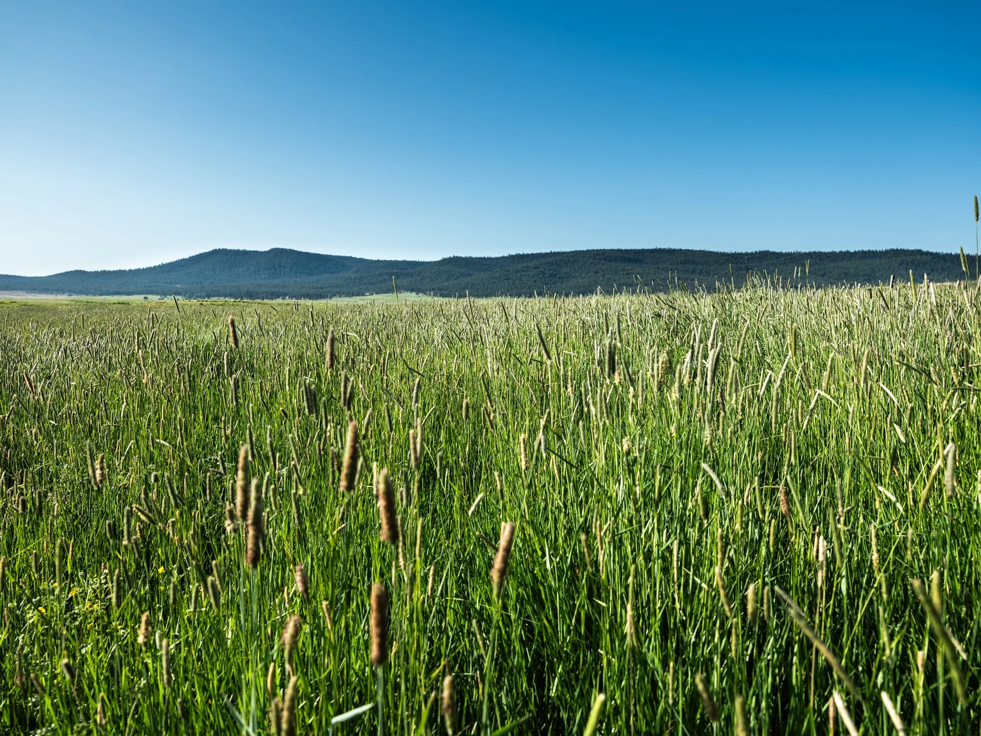 sproul-ranch-310.jpg