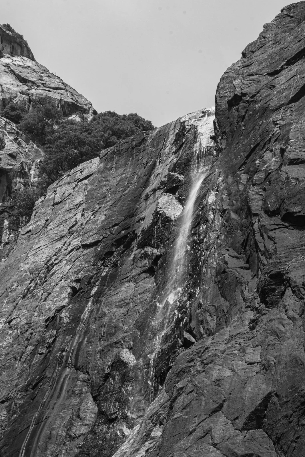 yosemite-2021-55.jpg