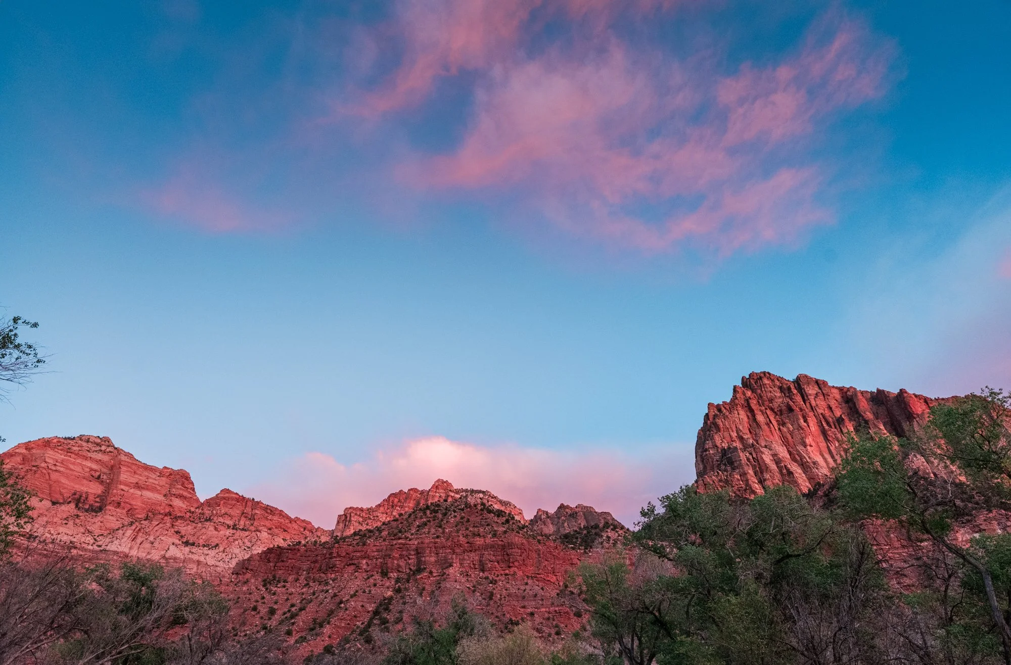 zion-np-171.jpg