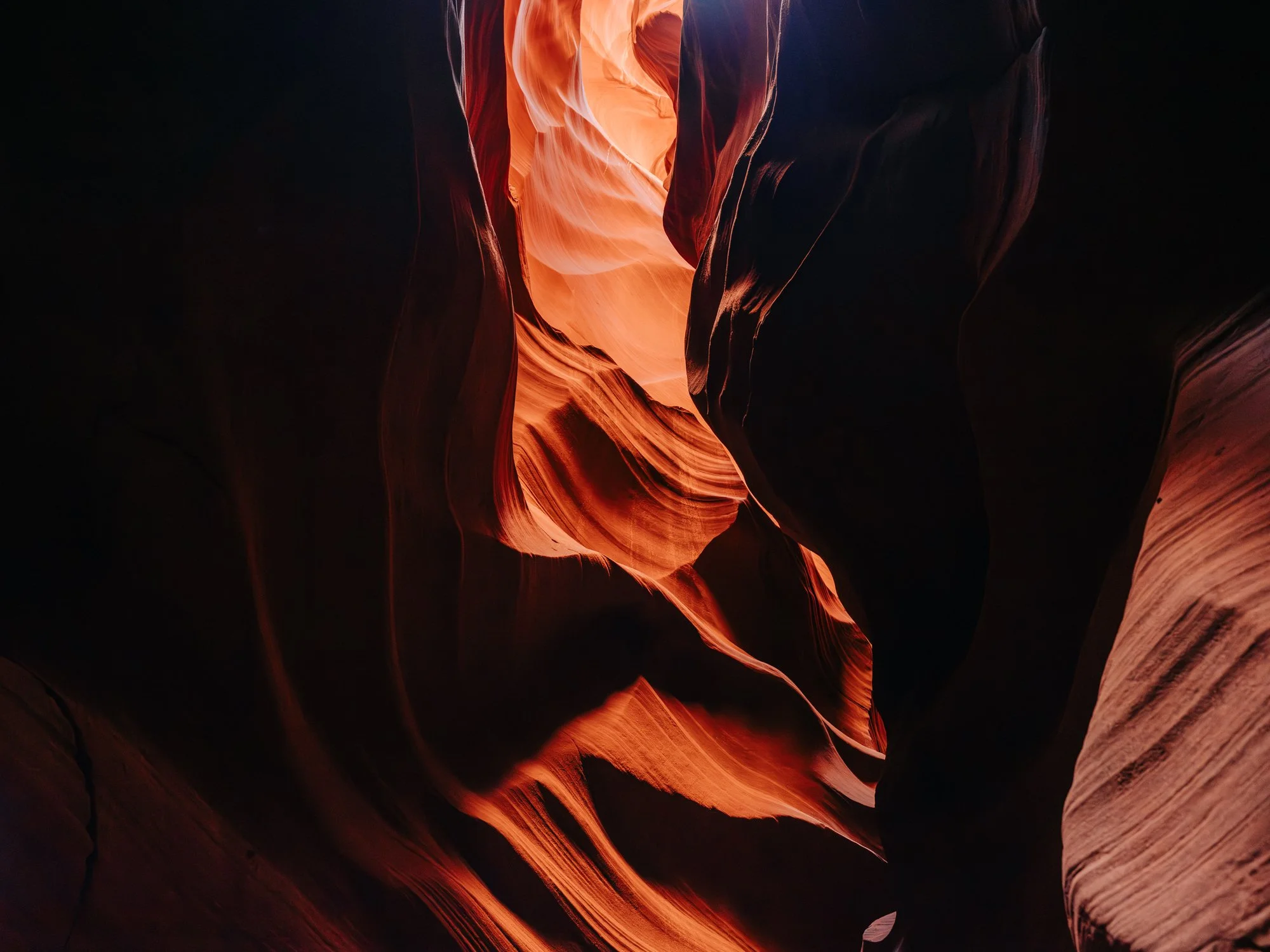 zion-np-579.jpg