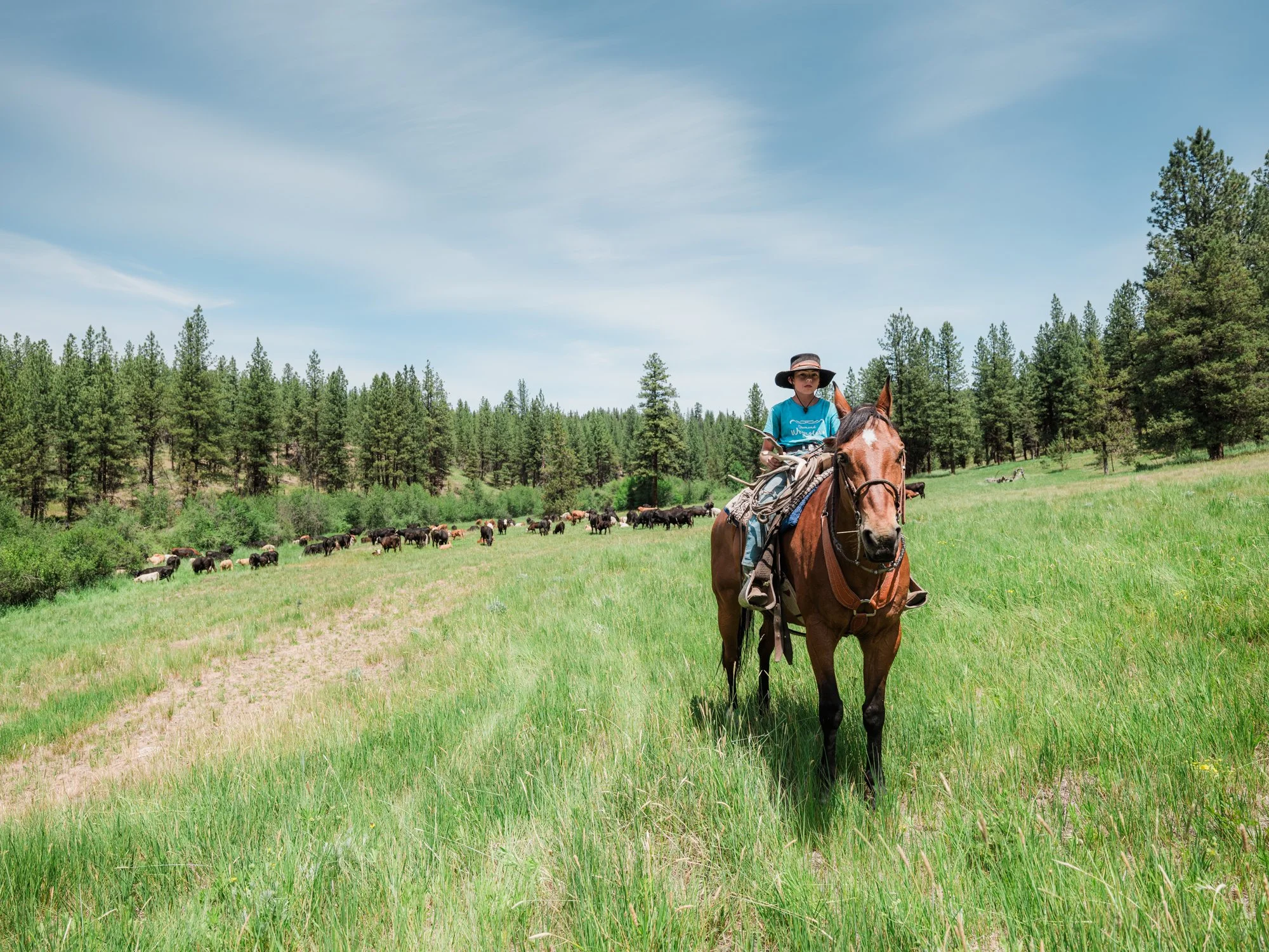 sproul-ranch-346.jpg