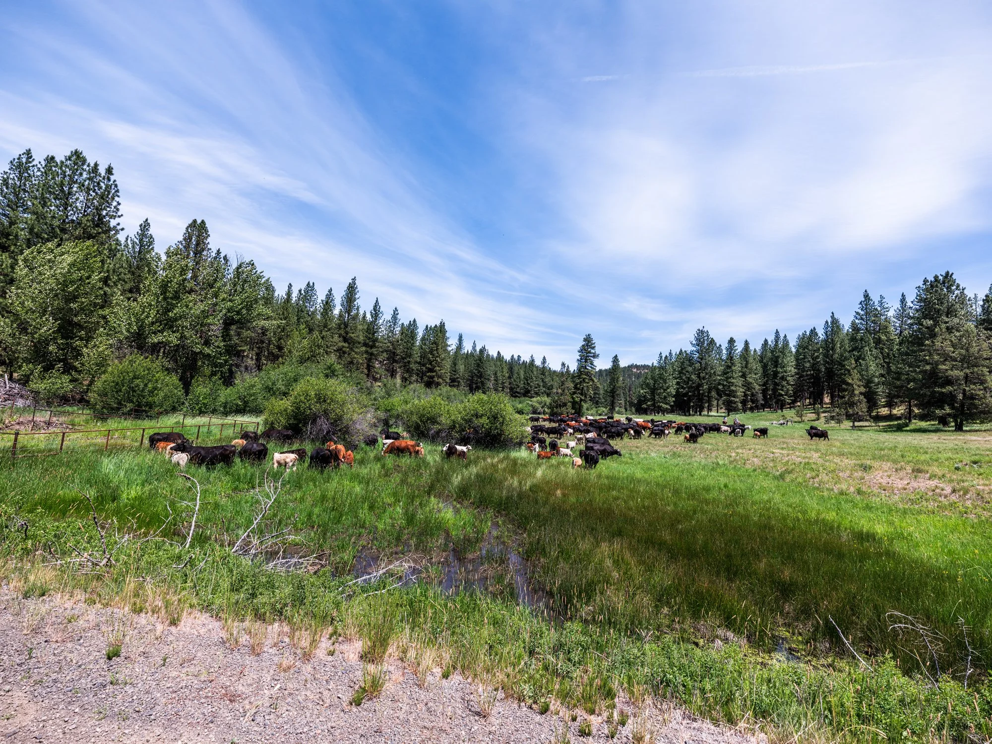 sproul-ranch-334.jpg