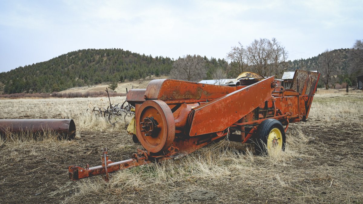 ranch-nov-2020-37.jpg