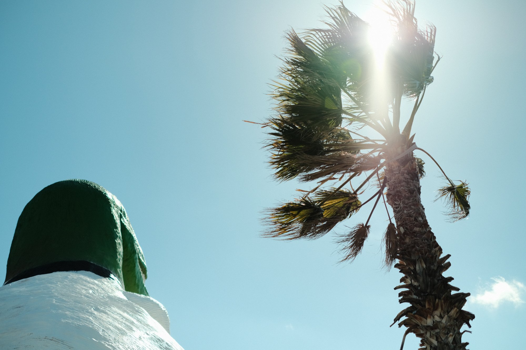 palm-springs-2024-176.jpg