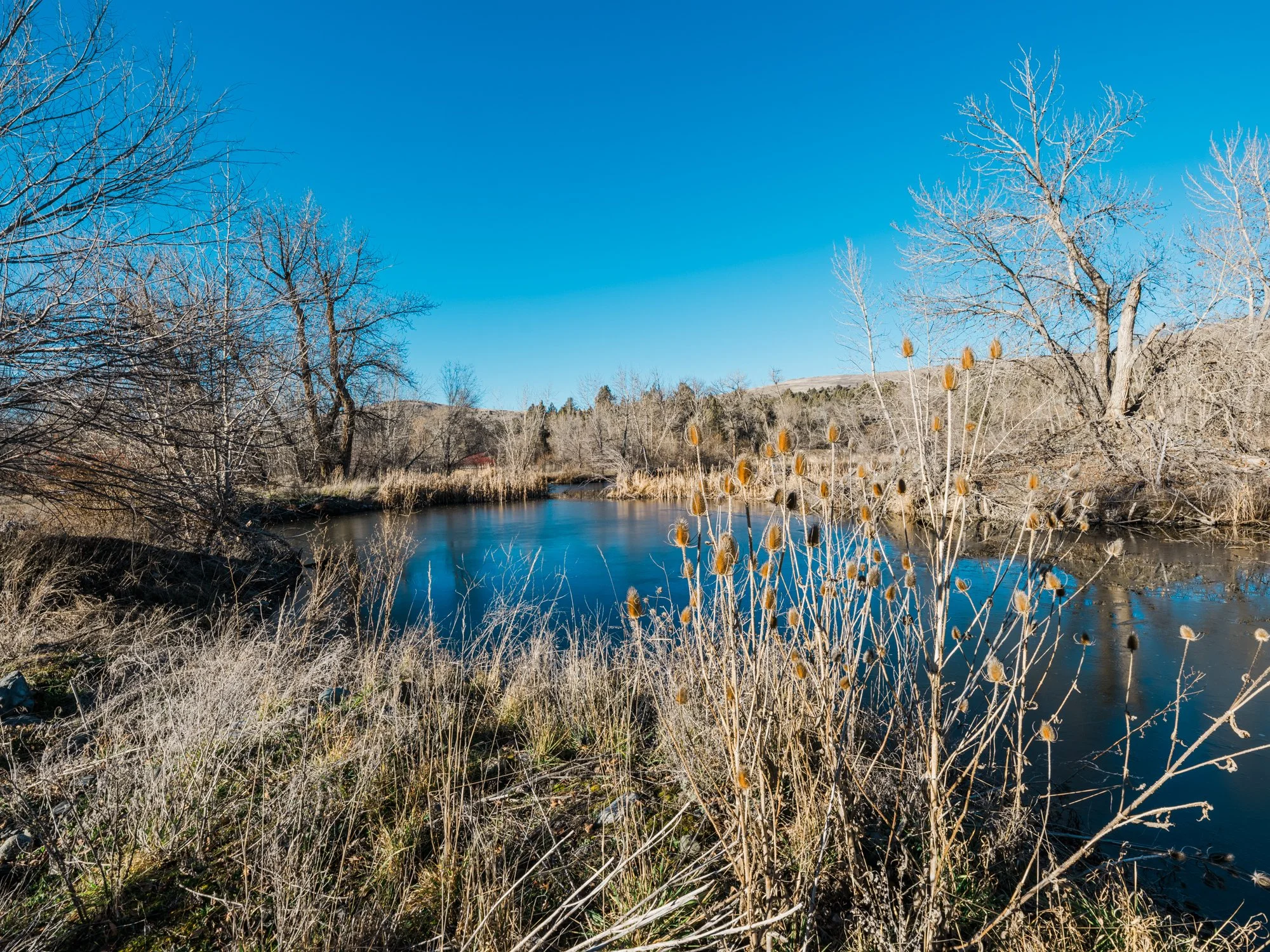 holmstrom-ranch-studioabsolute-582.jpg