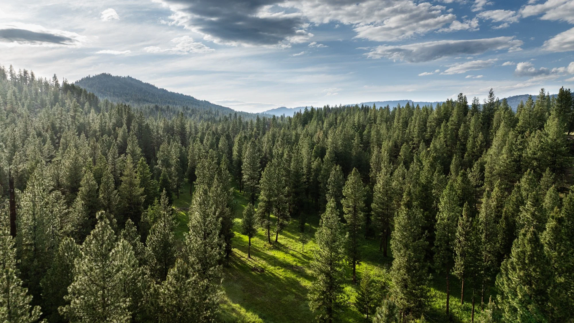 sproul-ranch-drone-14.jpg