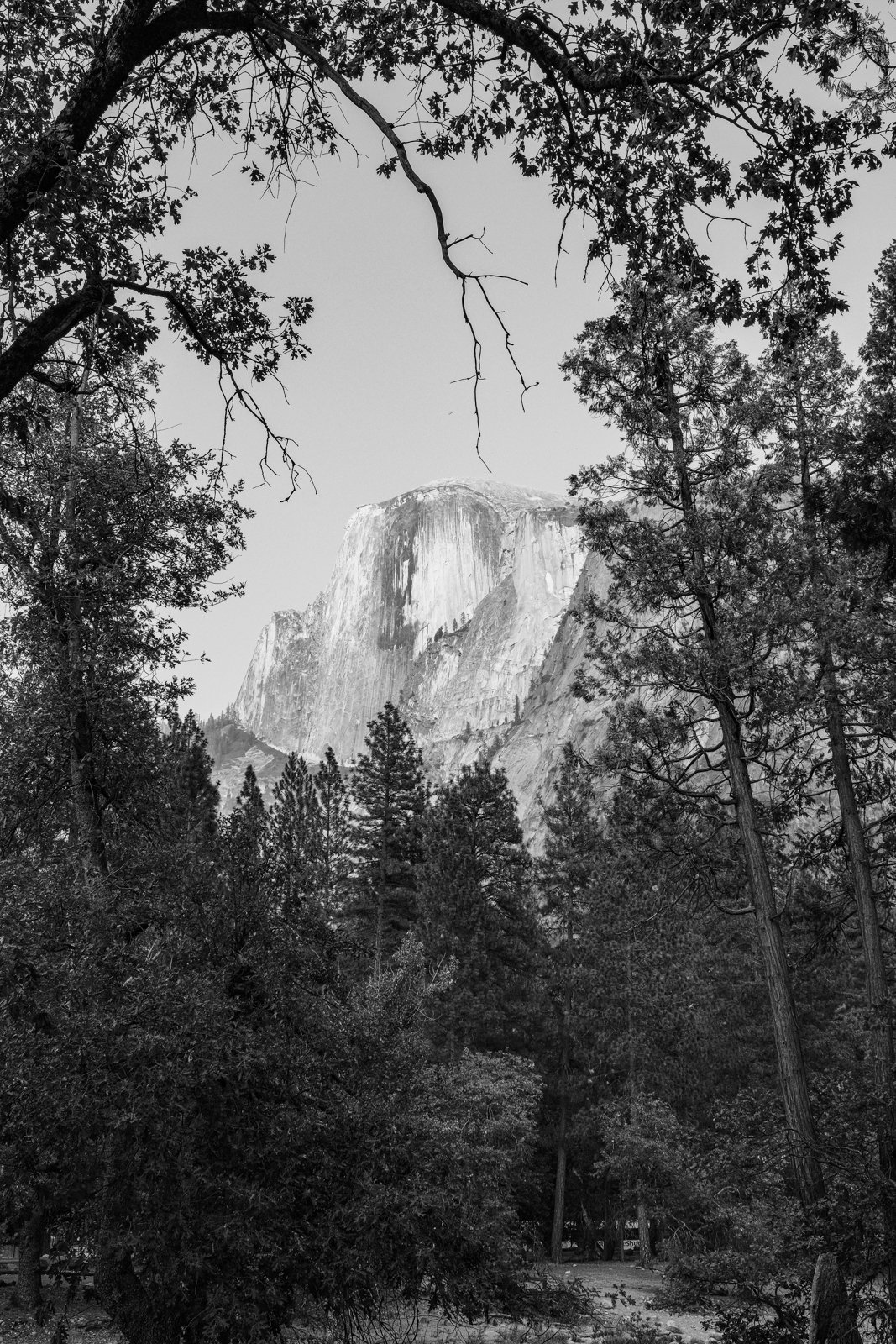 yosemite-2021-135.jpg