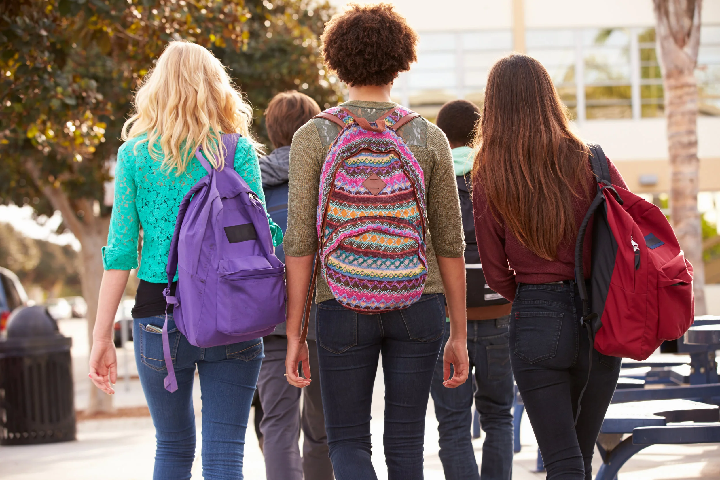 students walking-dreamstime_xl_52847814.jpg