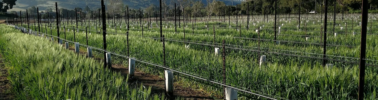CoverCrop.png