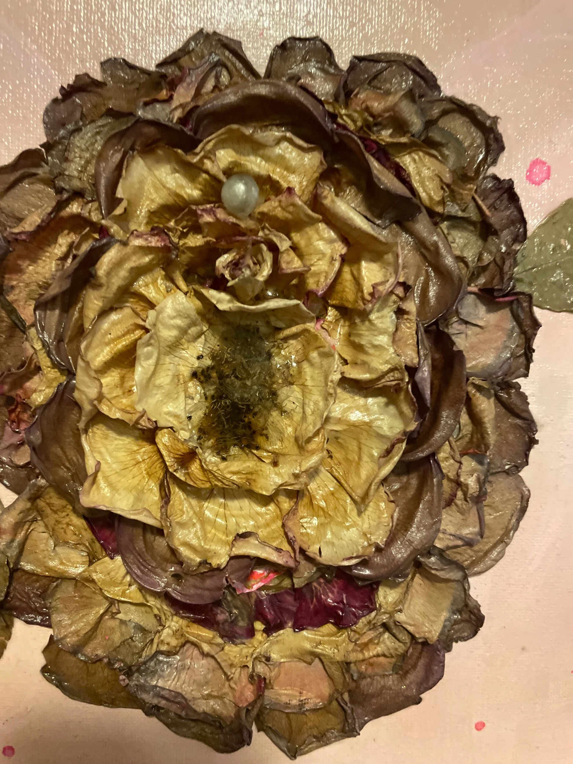 F993C462-50D4-48EB-AB2D-C12252EF2758