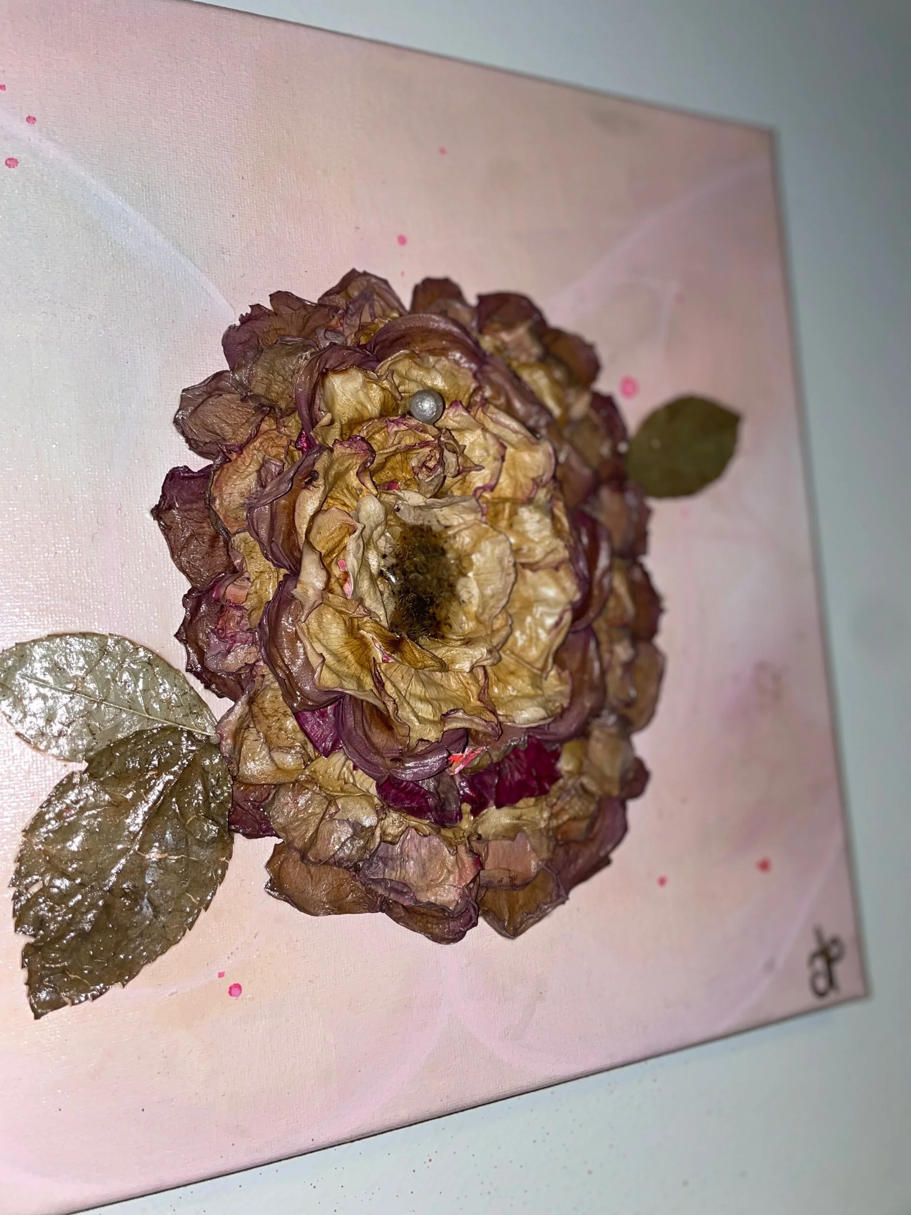 0855640C-D8A4-4C5B-8CF2-8CFF8D5051A7