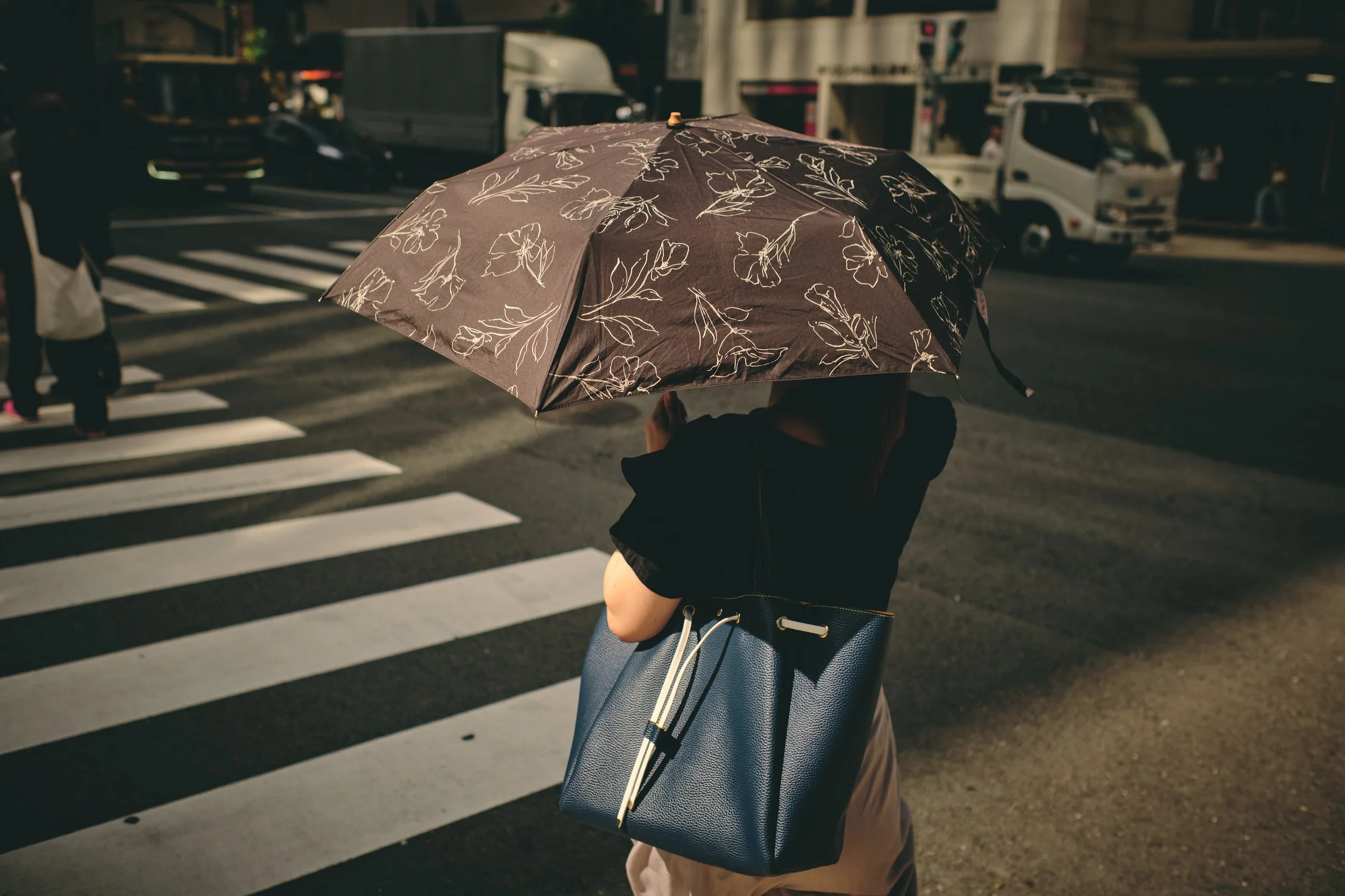Japan_2413.jpg