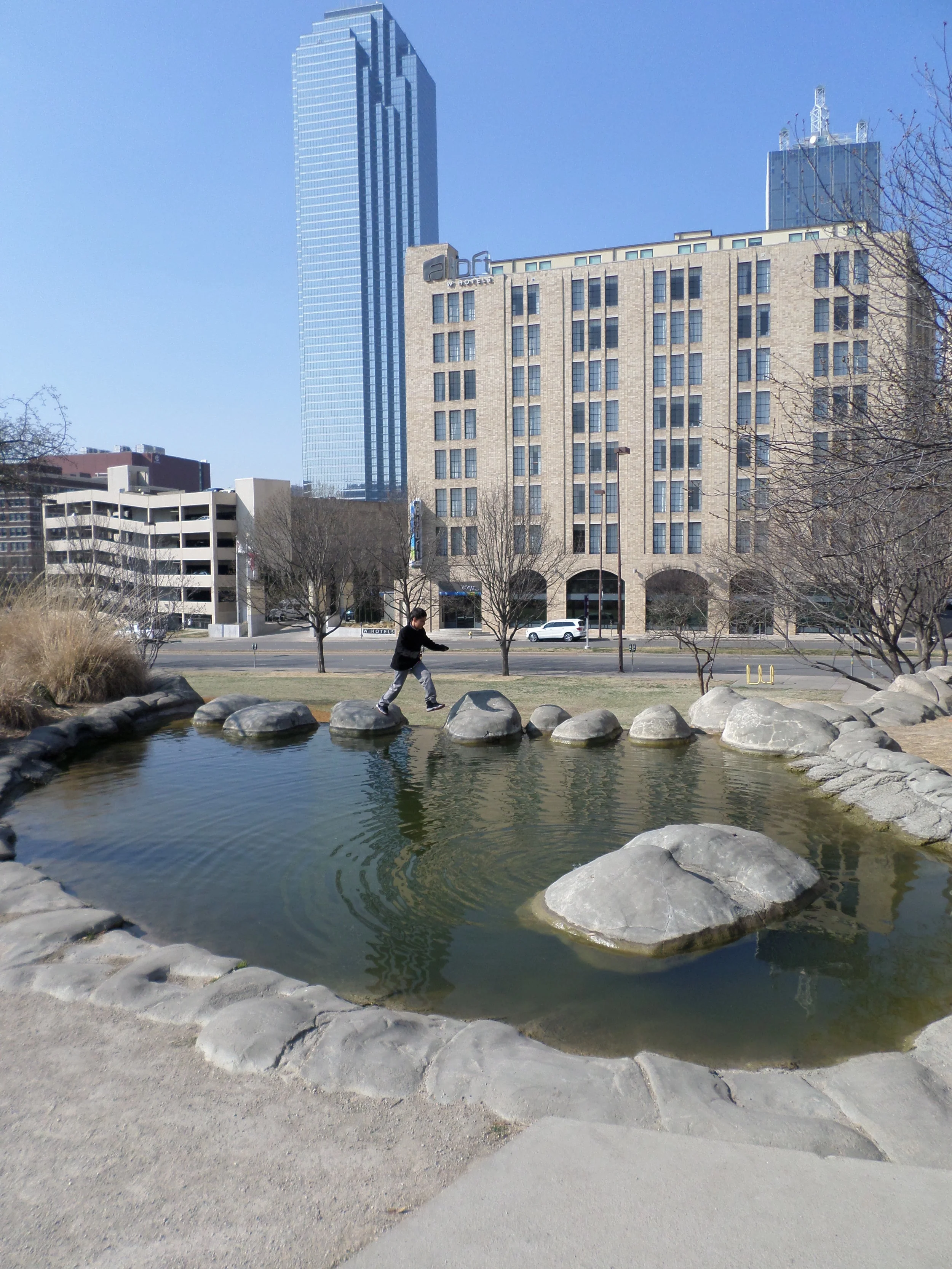   Rebel | 2014 | Dallas, TX   Samsung ST150F 16MP 