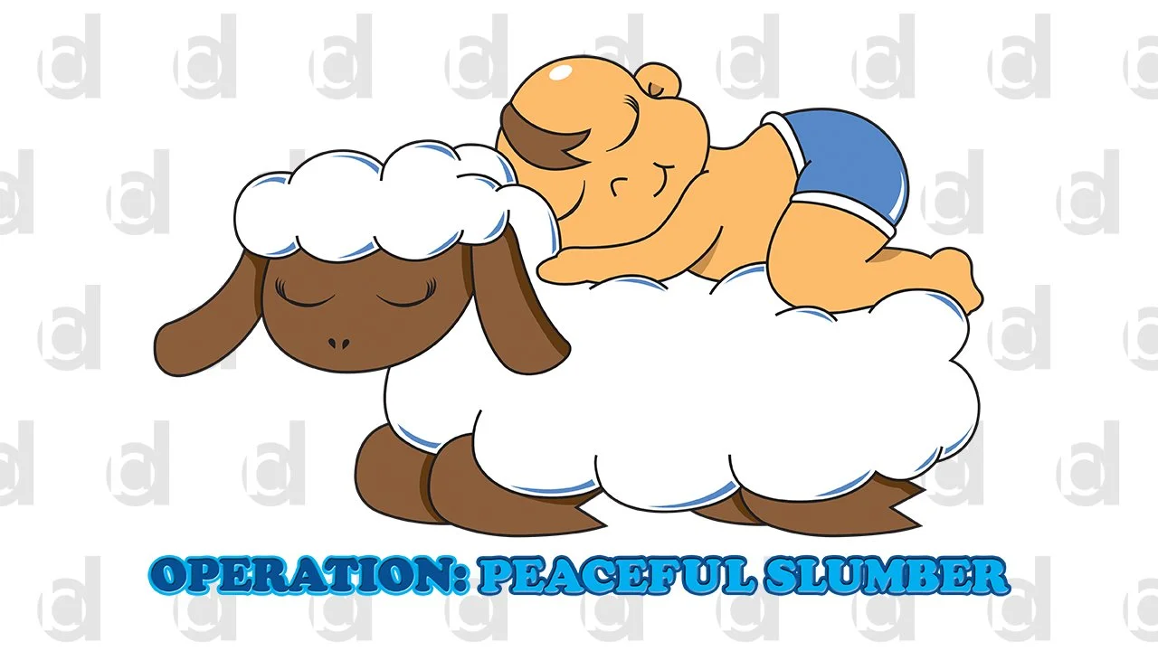   Operation Peaceful Slumber | 2017  Adobe Illustrator 
