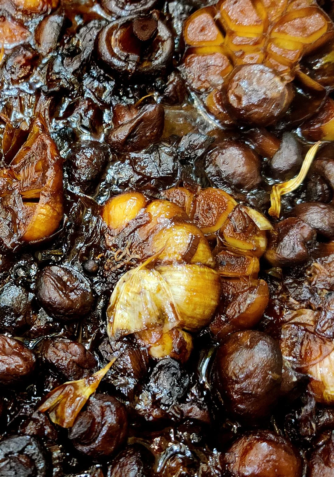  Mushroom Stock 