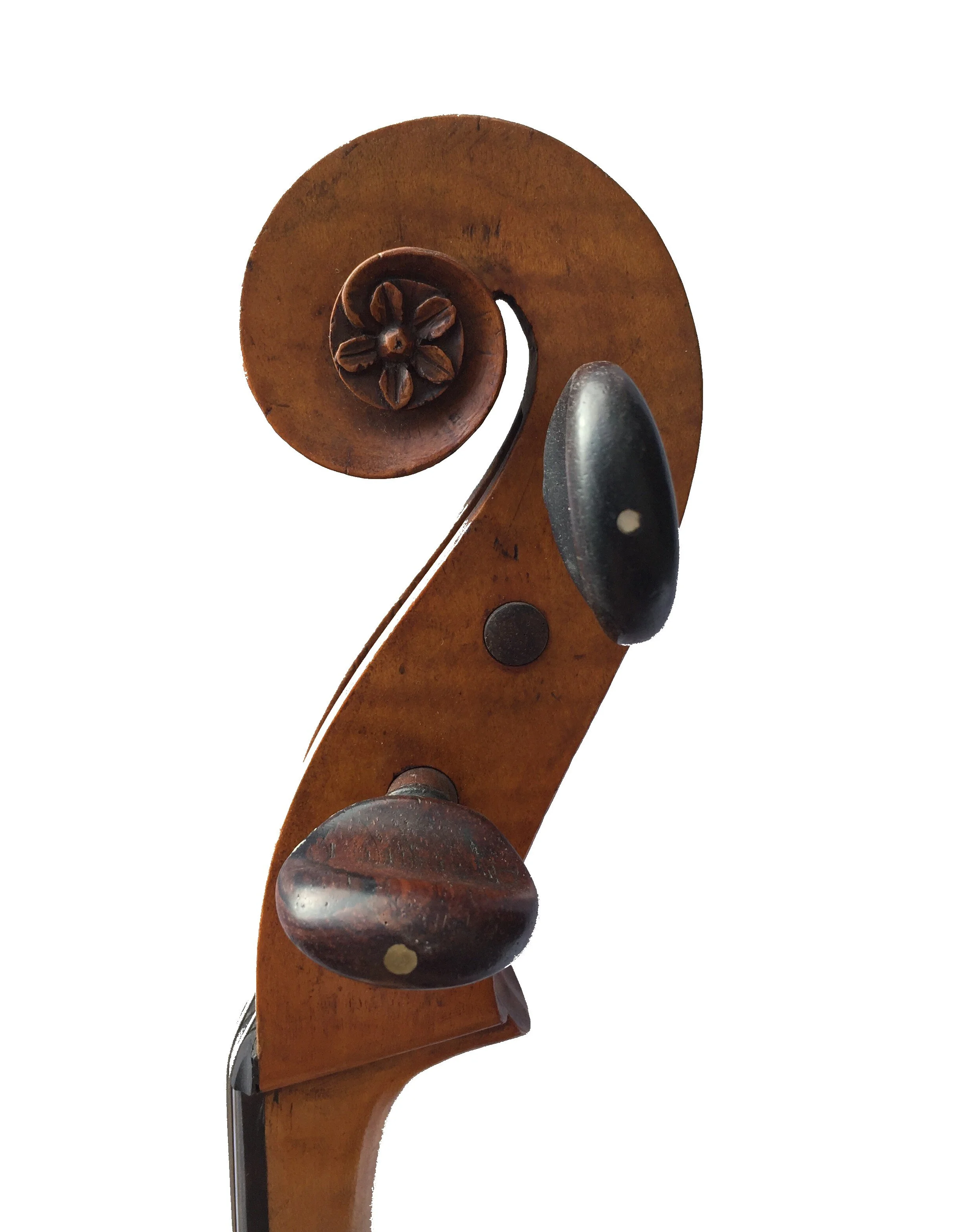 Antique Cellos for Sale Current Inventory