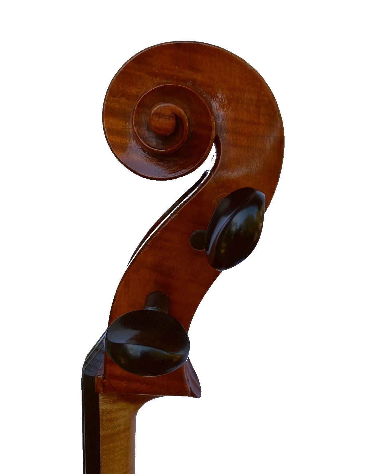 Breton Breveté Cello, France c.1910 - Scroll
