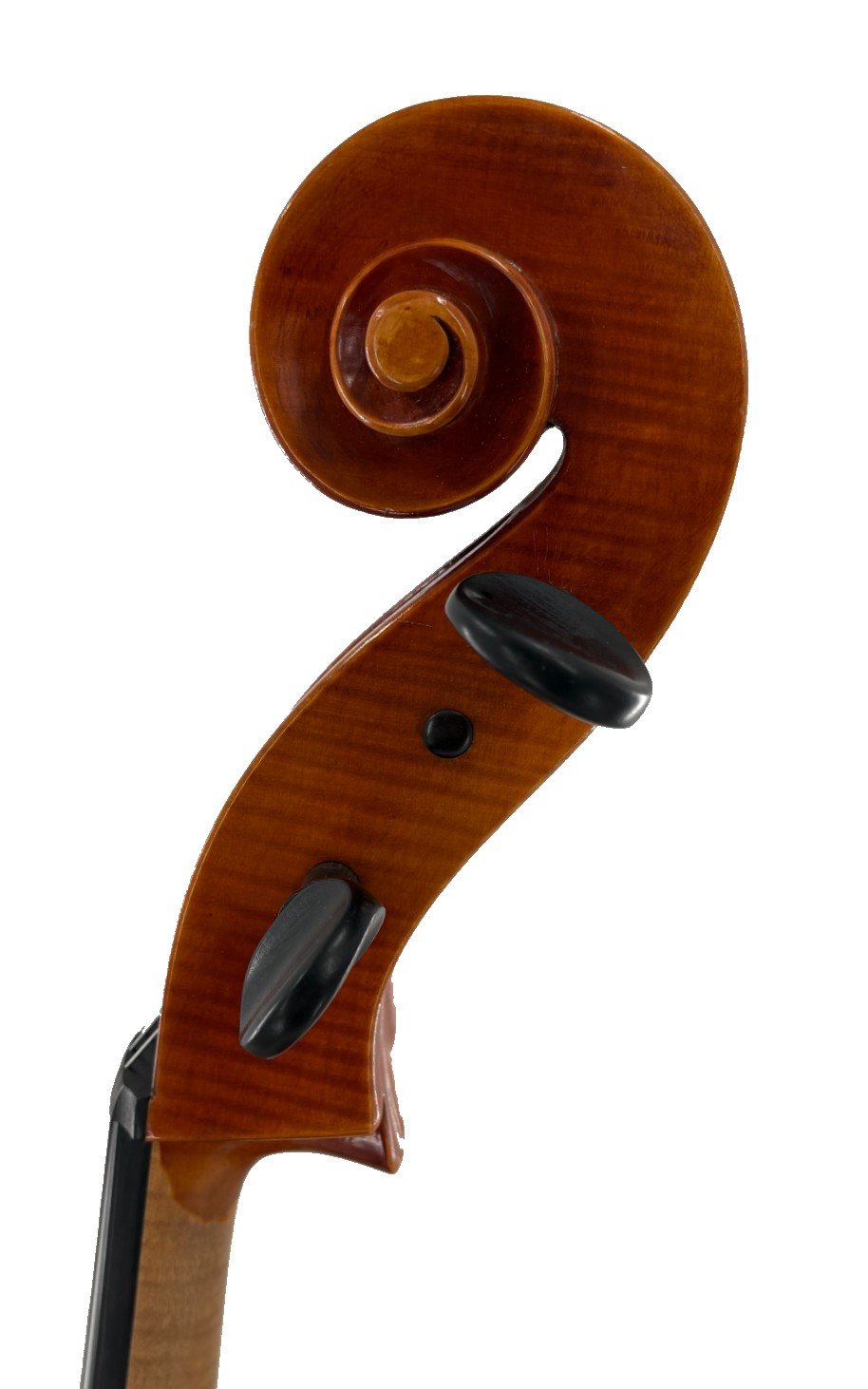 EH Roth V11-R 1975 Cello - Scroll
