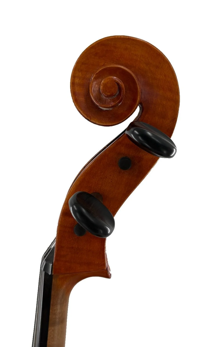 Erich Werner, Bubenreuth Cello 1986 - Scroll