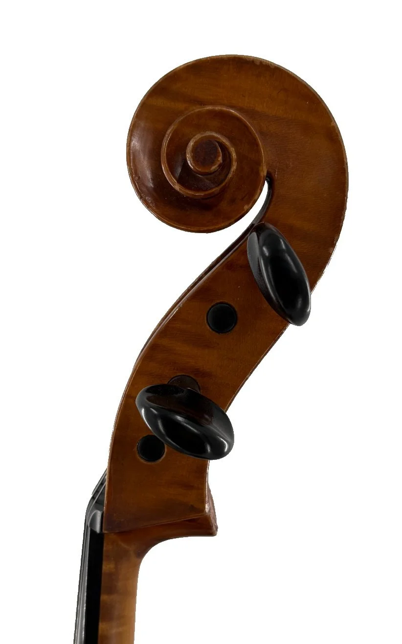 Hungarian Master Cello, c.1930 - Scroll