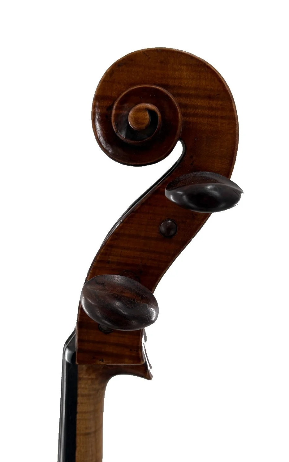 Saxon Cello, Germany c.1890 - Scroll