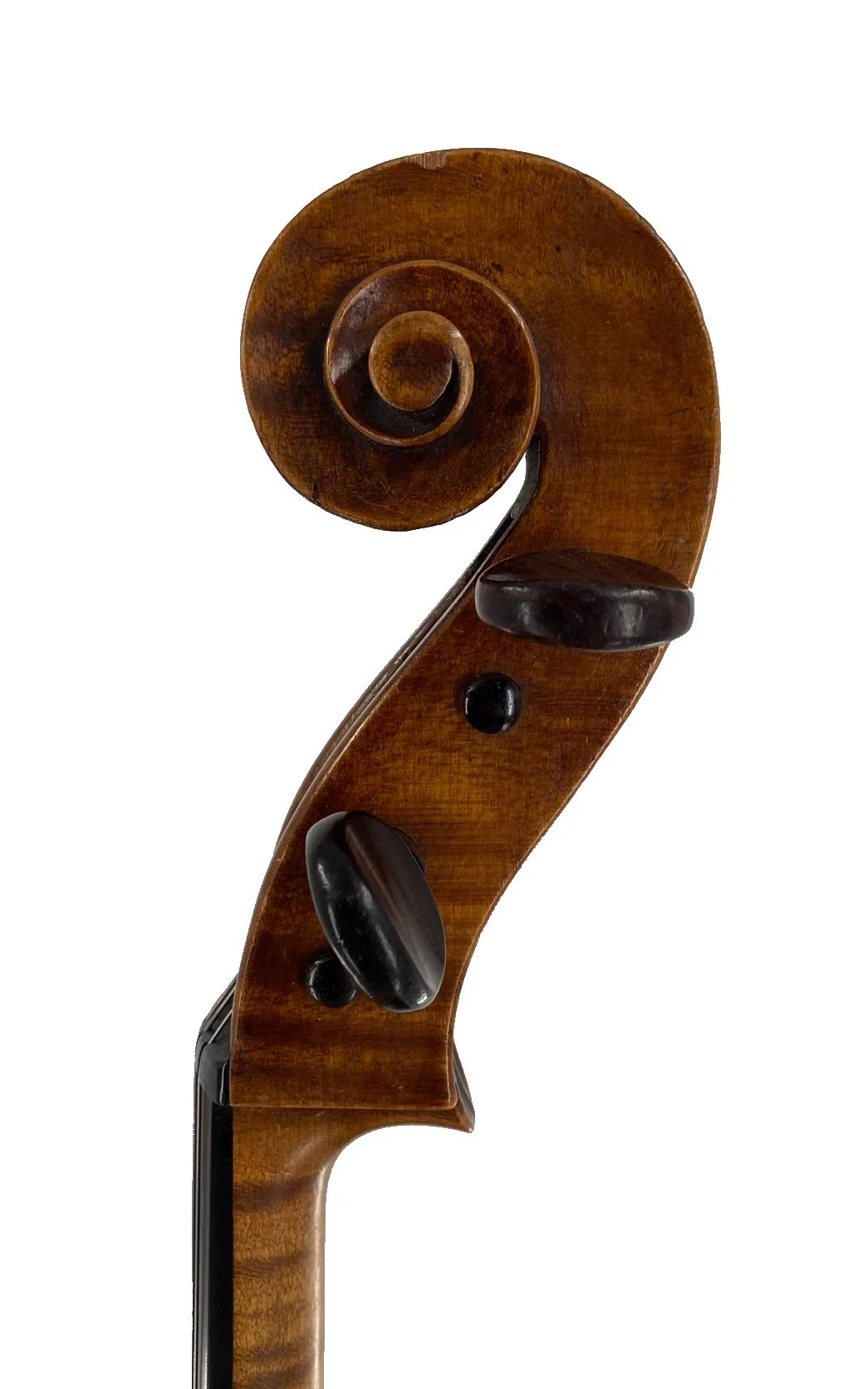 !/2 Dresden After Caussin (SOLD)