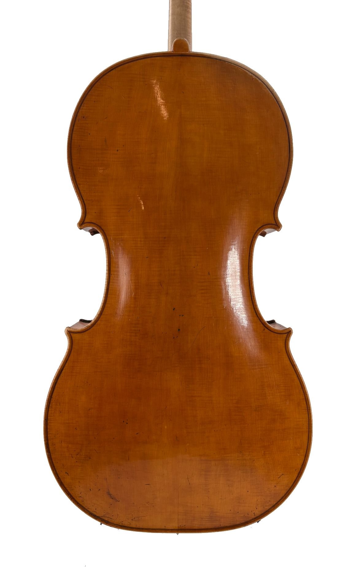 Henry Lockey Hill Cello, London 1833 - Back 
