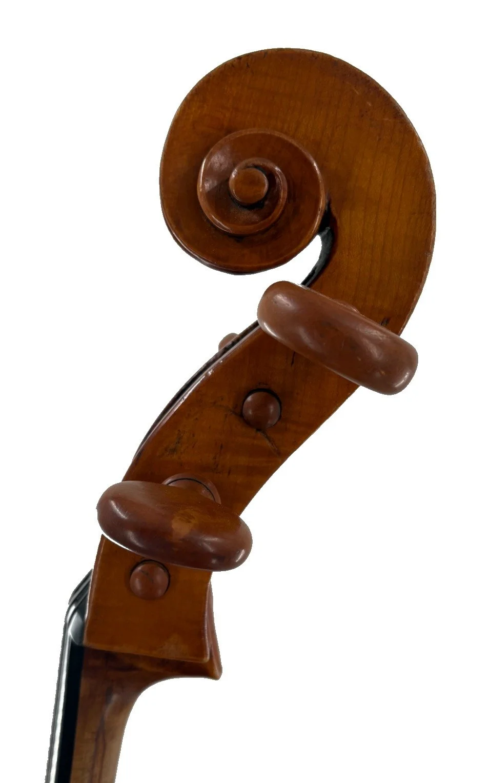 Henry Lockey Hill Cello, London 1833 - Scroll