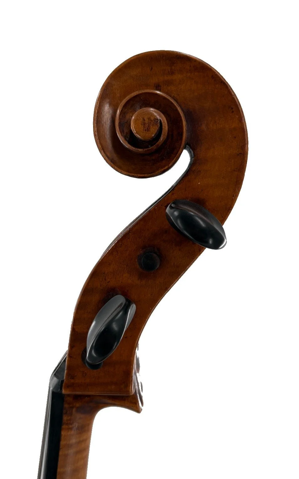 Markneukirchen Cello c.1880 - Scroll
