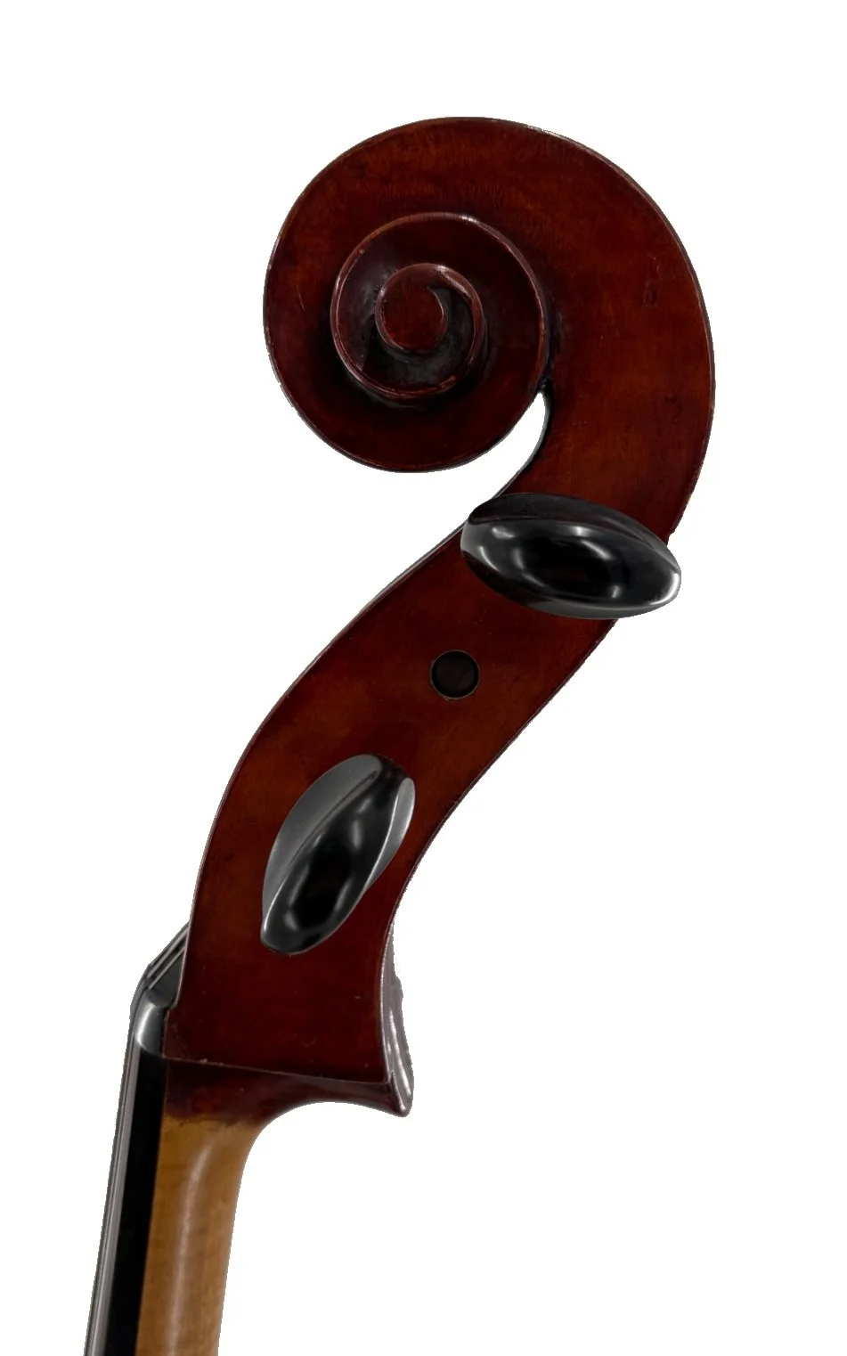 Gregory T. Walke 2002 Cello - Scroll