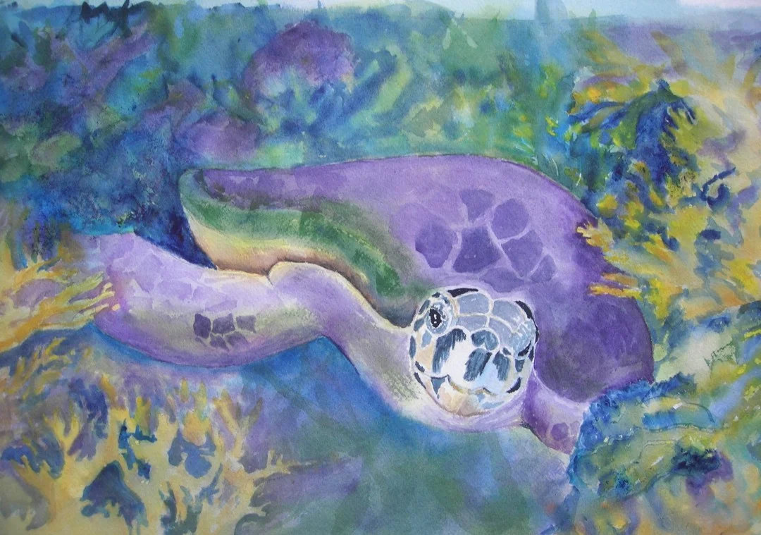 Tortugas-Reef--1080x759.jpg
