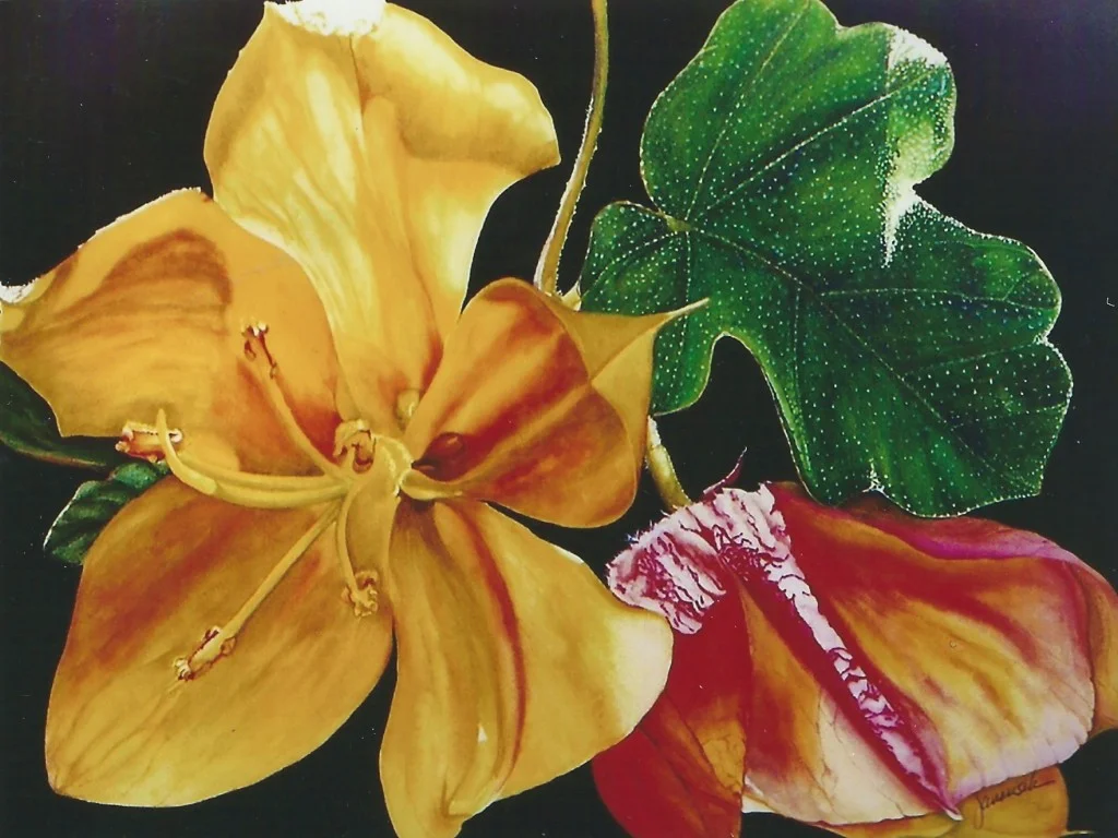 Fremontodendron-gouache-1024x768.jpeg