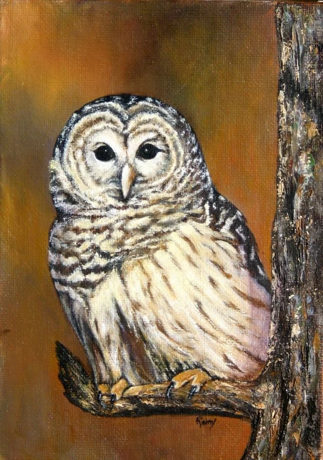 Barred-Owl.jpg