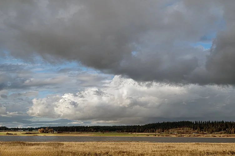 Landscape_1097 - Copy.jpg