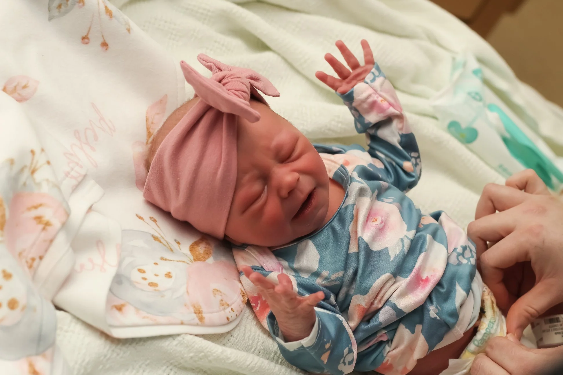 F84F5351-1B38-4662-97AD-68EB173260A7.jpeg
