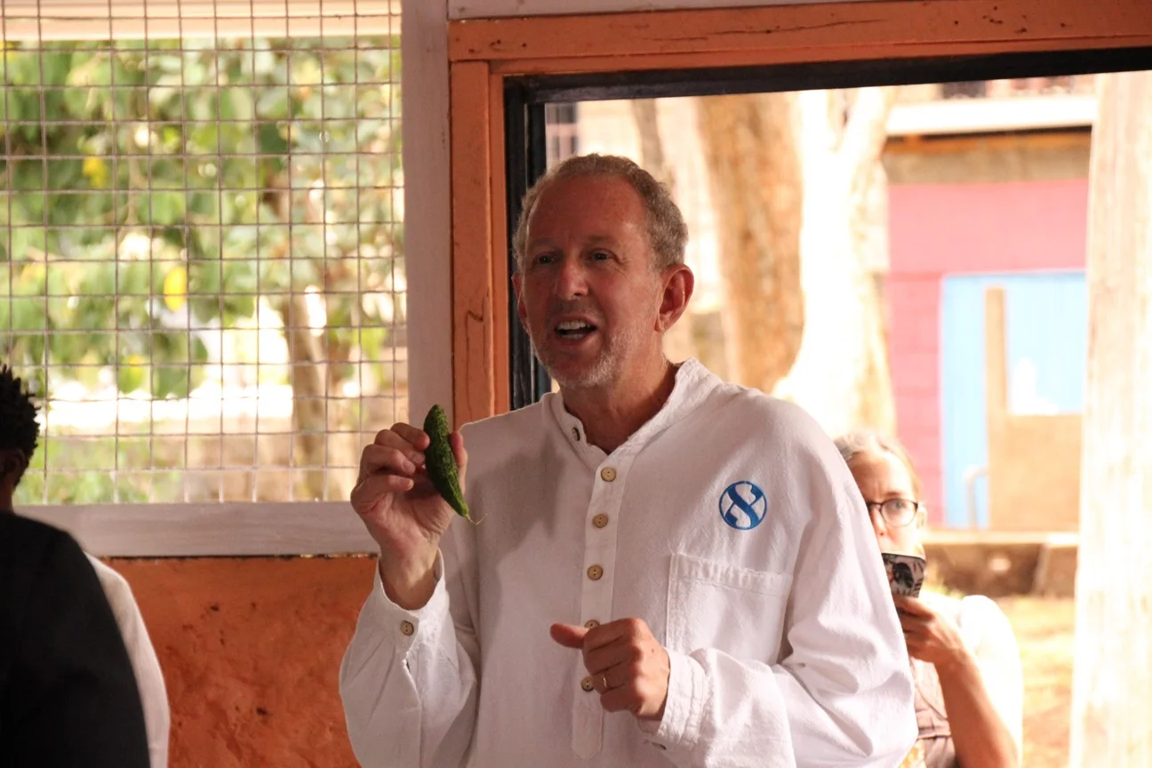 Bitter herbs, Kenyan-style. We bought some of these at a local supermarket. Looks like a sea cucumber. Tastes more like romaine lettuce than horseradish. (For which many were grateful. ;-)